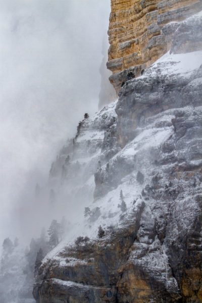 falaises du Granier sous la tempête de neige, Chartreuse, savoie