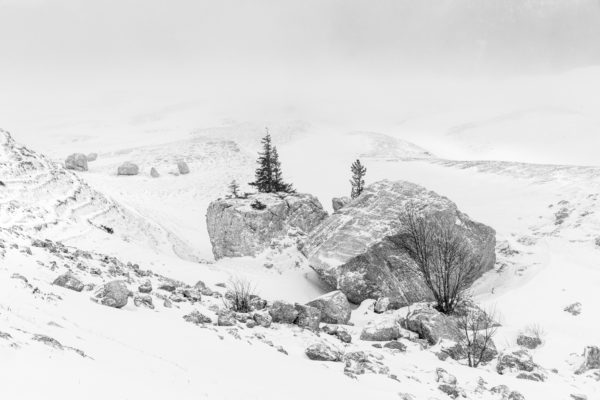 paysage d'hiver en Chartreuse, apprendre à composer