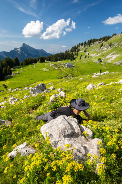 pause contemplative sur l'alpage, Chartreuse, Isère