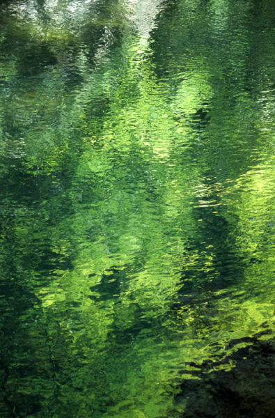 reflet sur l'eau calme d'une rivière de Chartreuse