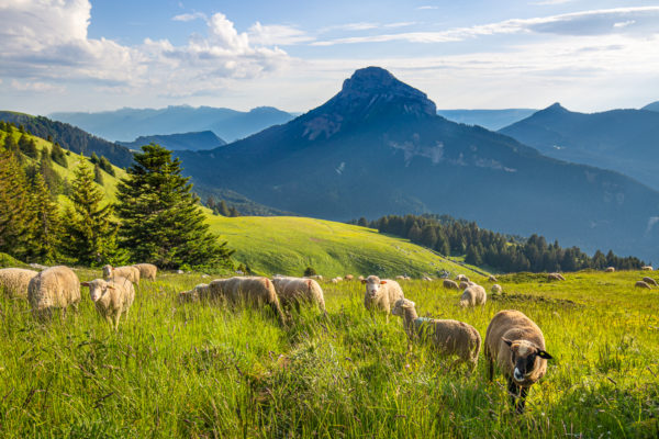 stage photo de paysage en Isère et Savoie