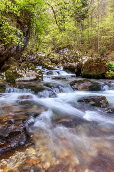 pose longue sur un torrent de Chartreuse, stage photographier l'eau