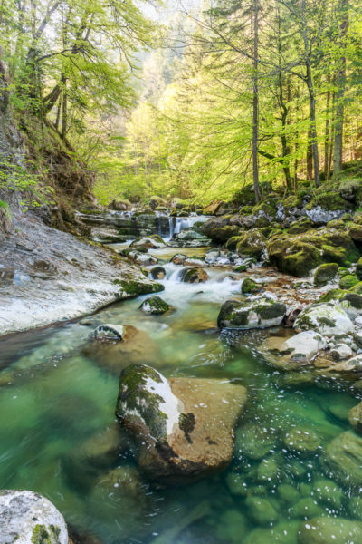 torrent du Guiers Mort en Chartreuse, stage photo en Isère