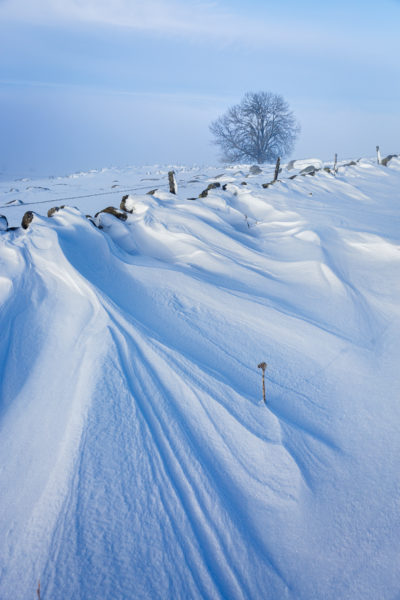 jouer avec la neige, stage photo en Aubrac