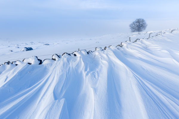 graphisme hivernal sur la neige en Aubrac