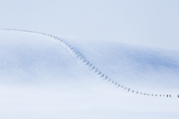 composition graphique sur la neige en Aubrac