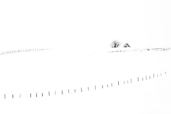 photographie minimalliste en Aubrac sur la neige