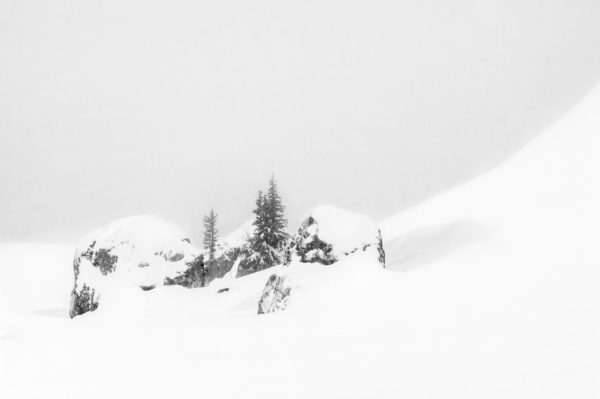 arbres et blocs sous la neige, hauts plateaux de Chartreuse