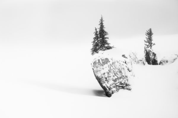 arbres et blocs sous la neige, hauts plateaux de Chartreuse