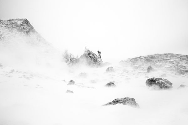 dans la bourrasque de neige, hauts-plateaux de Chartreuse