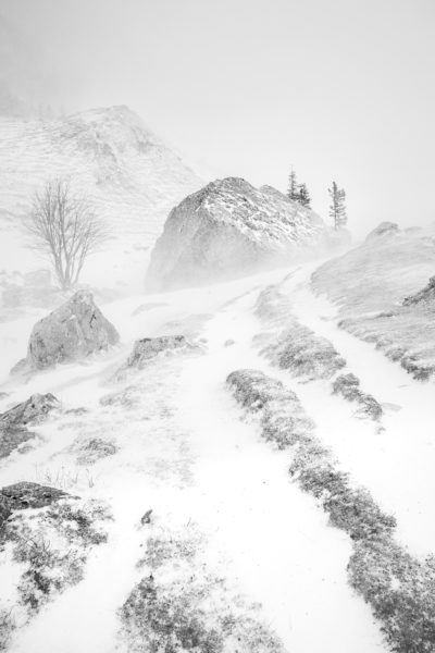 dans la bourrasque de neige en Chartreuse