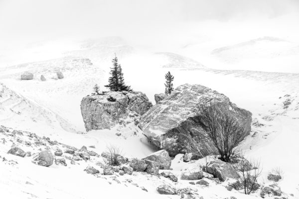 chaos de blocs au col de l'Alpette, Chartreuse