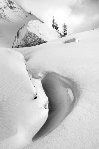 motifs de neige, hiver en Chartreuse