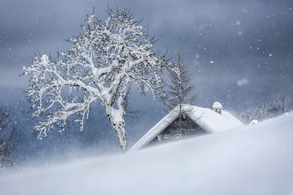 paysage d'hiver des Entremonts en Chartreuse