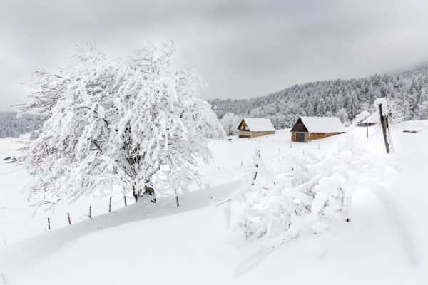 Granges en hiver - Entremont-le-Vieux, Chartreuse