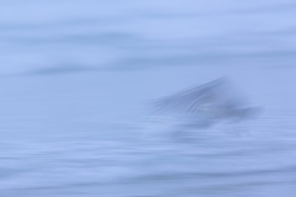 envol sur les vagues en Bretagne